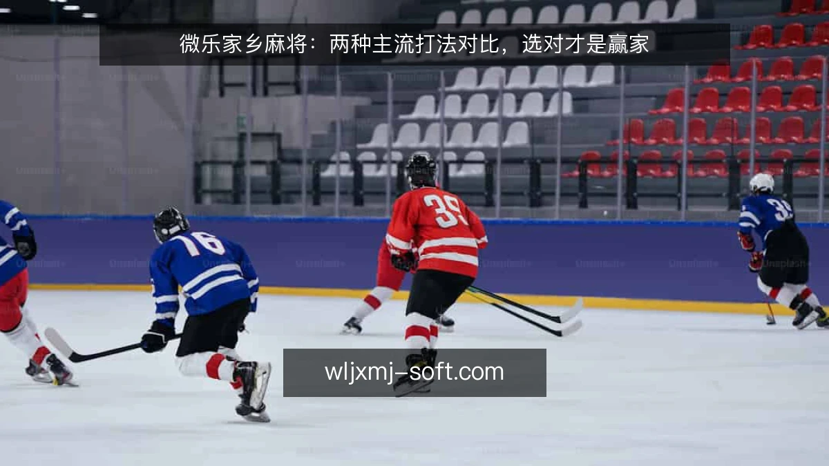 微乐家乡麻将:两种主流打法对比,选对才是赢家