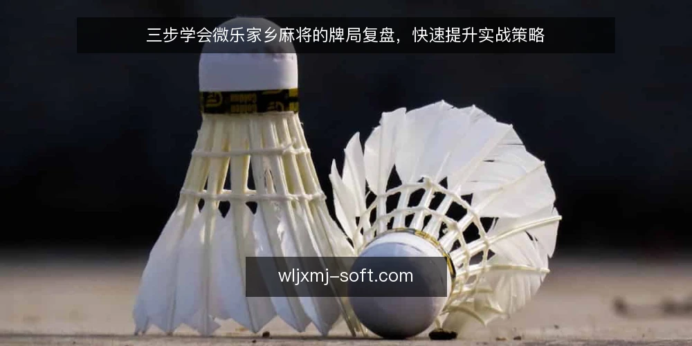三步学会微乐家乡麻将的牌局复盘,快速提升实战策略 — 准备:整理牌局记录与关键节点 配图