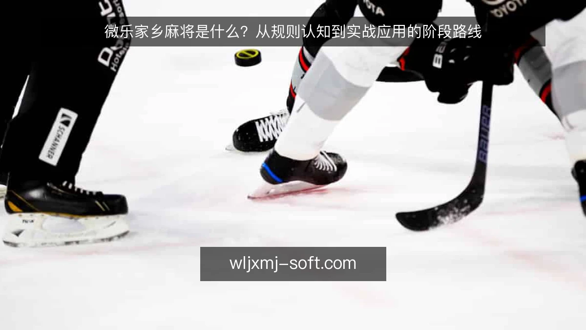 微乐家乡麻将是什么?从规则认知到实战应用的阶段路线