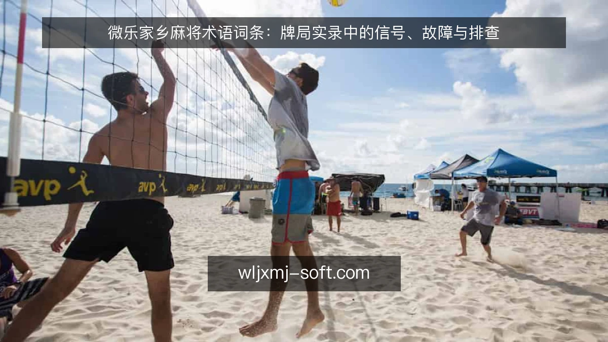 微乐家乡麻将术语词条：牌局实录中的信号、故障与排查