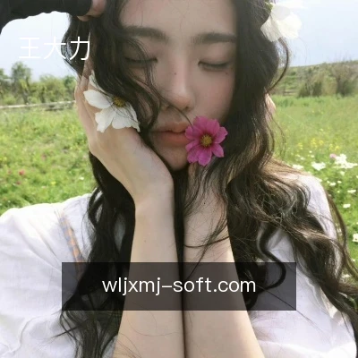 王大力