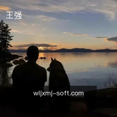 王强